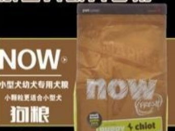 全新狗糧價(jià)格分析 上海寵物食品市場趨勢與選購指南