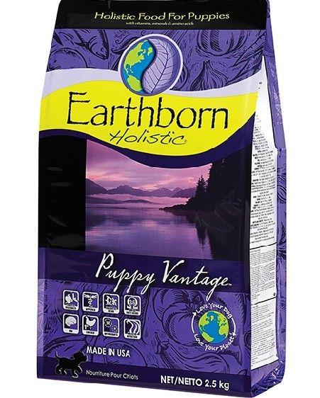 進(jìn)口寵物食品的相關(guān)注意事項