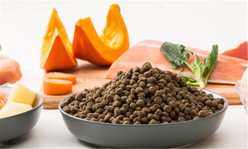 豆柴完成數(shù)千萬(wàn)元A輪融資，金鼎資本領(lǐng)投，加速寵物食品市場(chǎng)布局